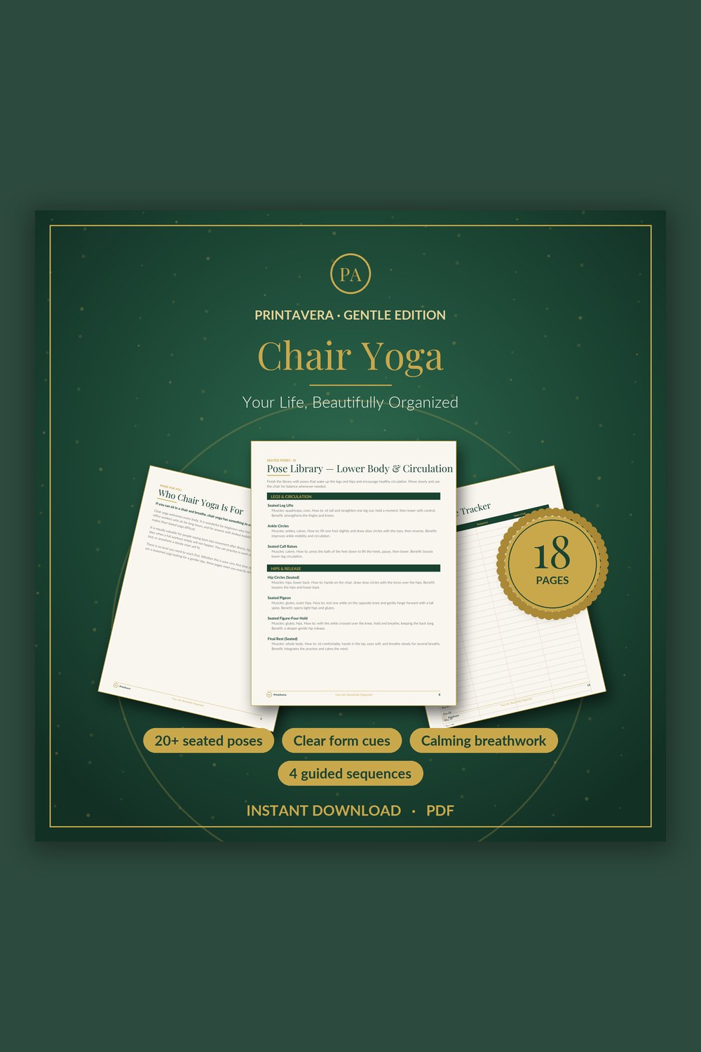 Chair Yoga Printable — PrintAvera printable